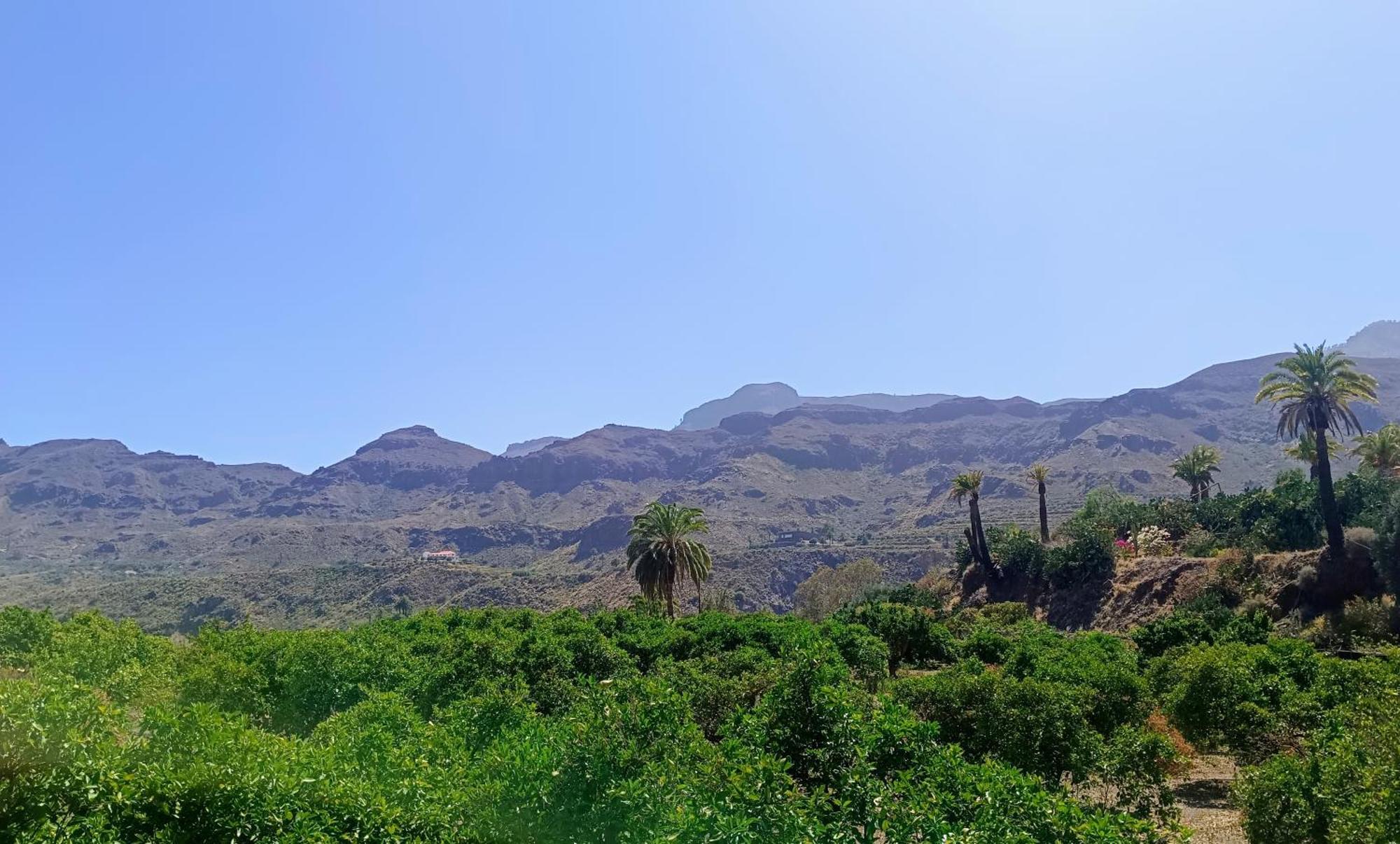 فيلا La Casa De La Pradera Santa Lucia المظهر الخارجي الصورة