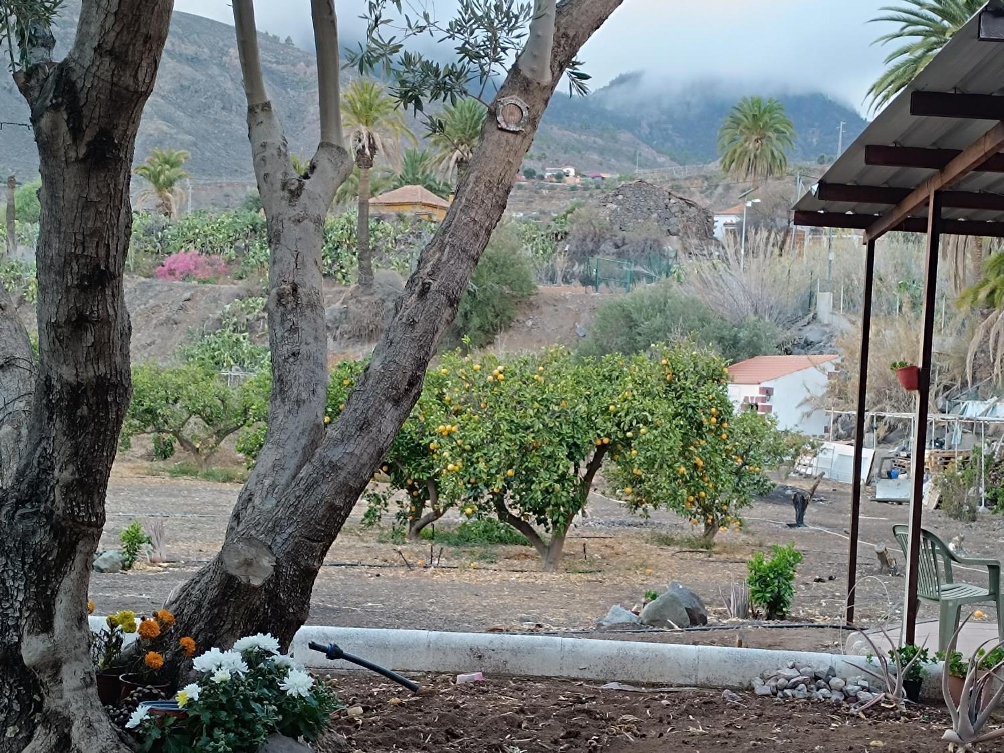 فيلا La Casa De La Pradera Santa Lucia المظهر الخارجي الصورة