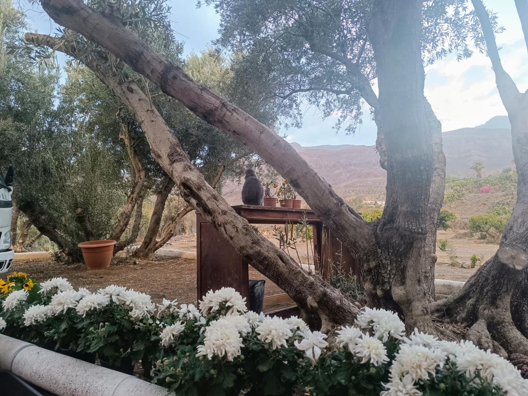 فيلا La Casa De La Pradera Santa Lucia المظهر الخارجي الصورة