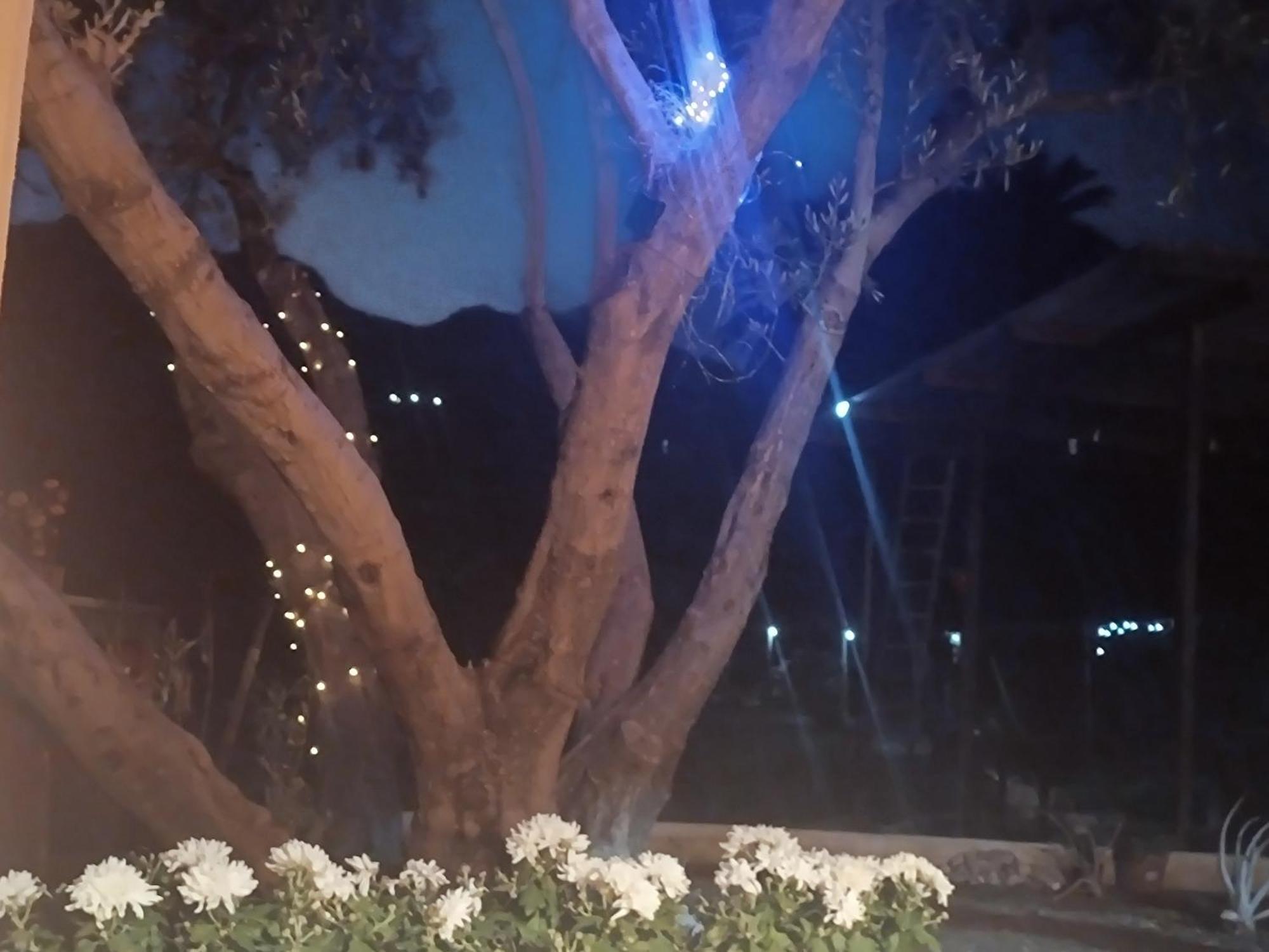 فيلا La Casa De La Pradera Santa Lucia المظهر الخارجي الصورة