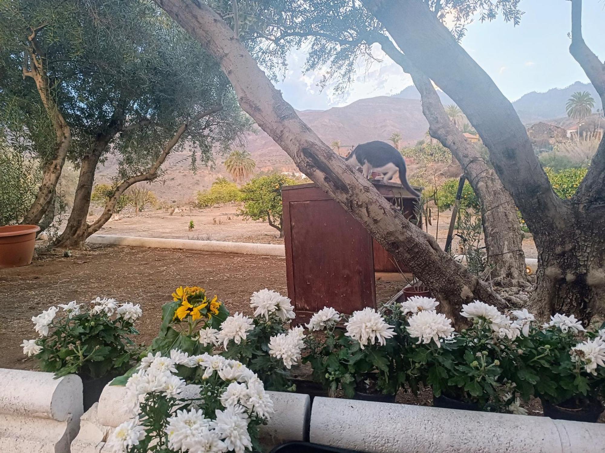 فيلا La Casa De La Pradera Santa Lucia المظهر الخارجي الصورة